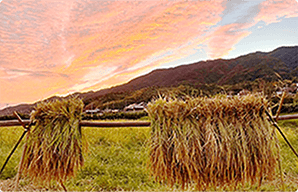 農と暮らしのリトリート参加権